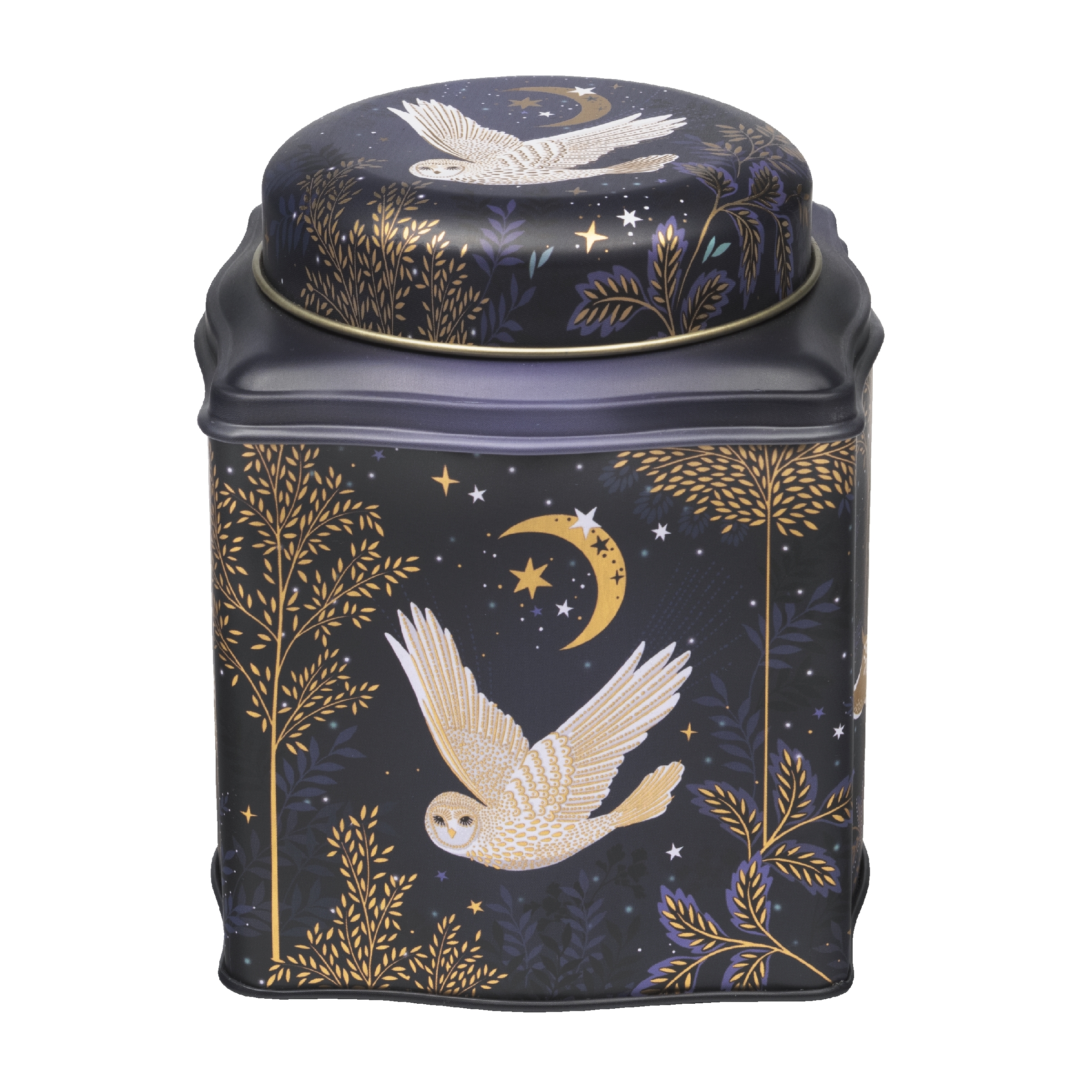 Dome Lid Wavy Caddy Sara Miller Magical Nightfall