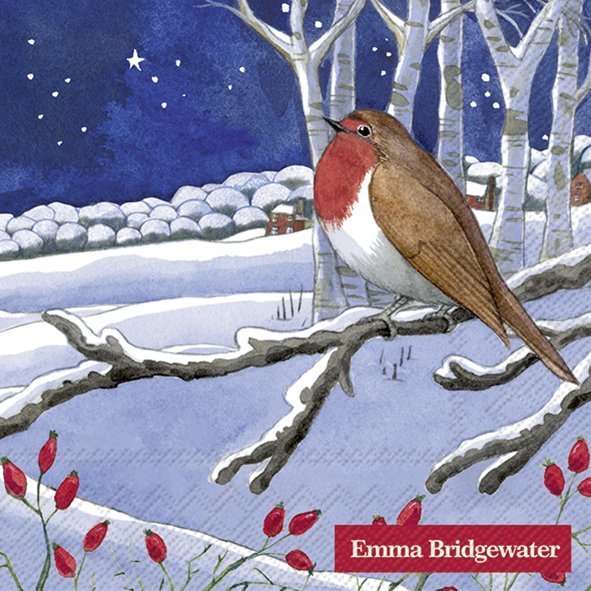 Cocktail Servet Midnight Robin