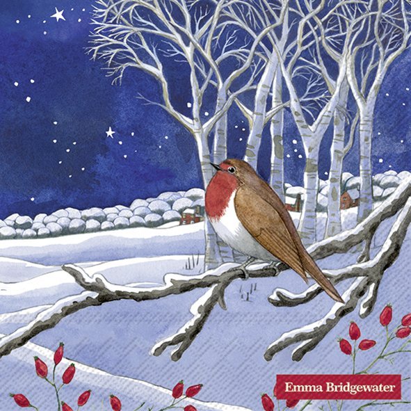 Lunch Servet Midnight Robin